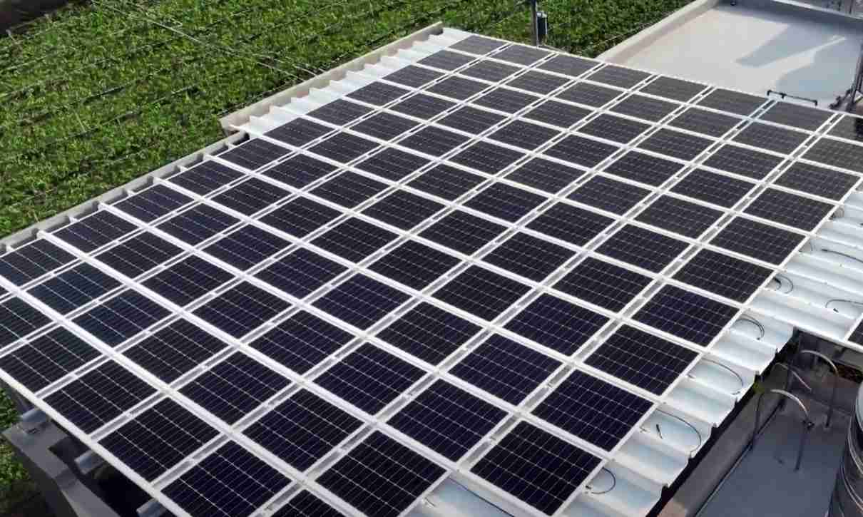 人生就是博SunSteel光电浪板升级双玻结构，，以提升机械负载强度及气候耐候度，，可广泛运用于多元场域